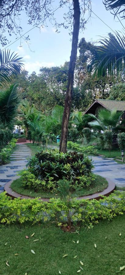 JP Resort Arambol Exterior foto
